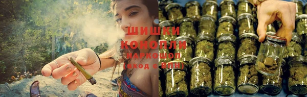 сатива Липки